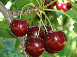 Ламберт