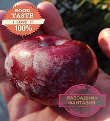 Рут Герщетер