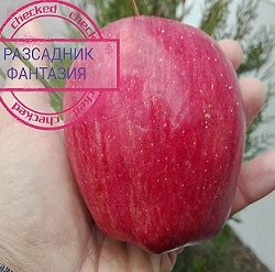 Ред Кап