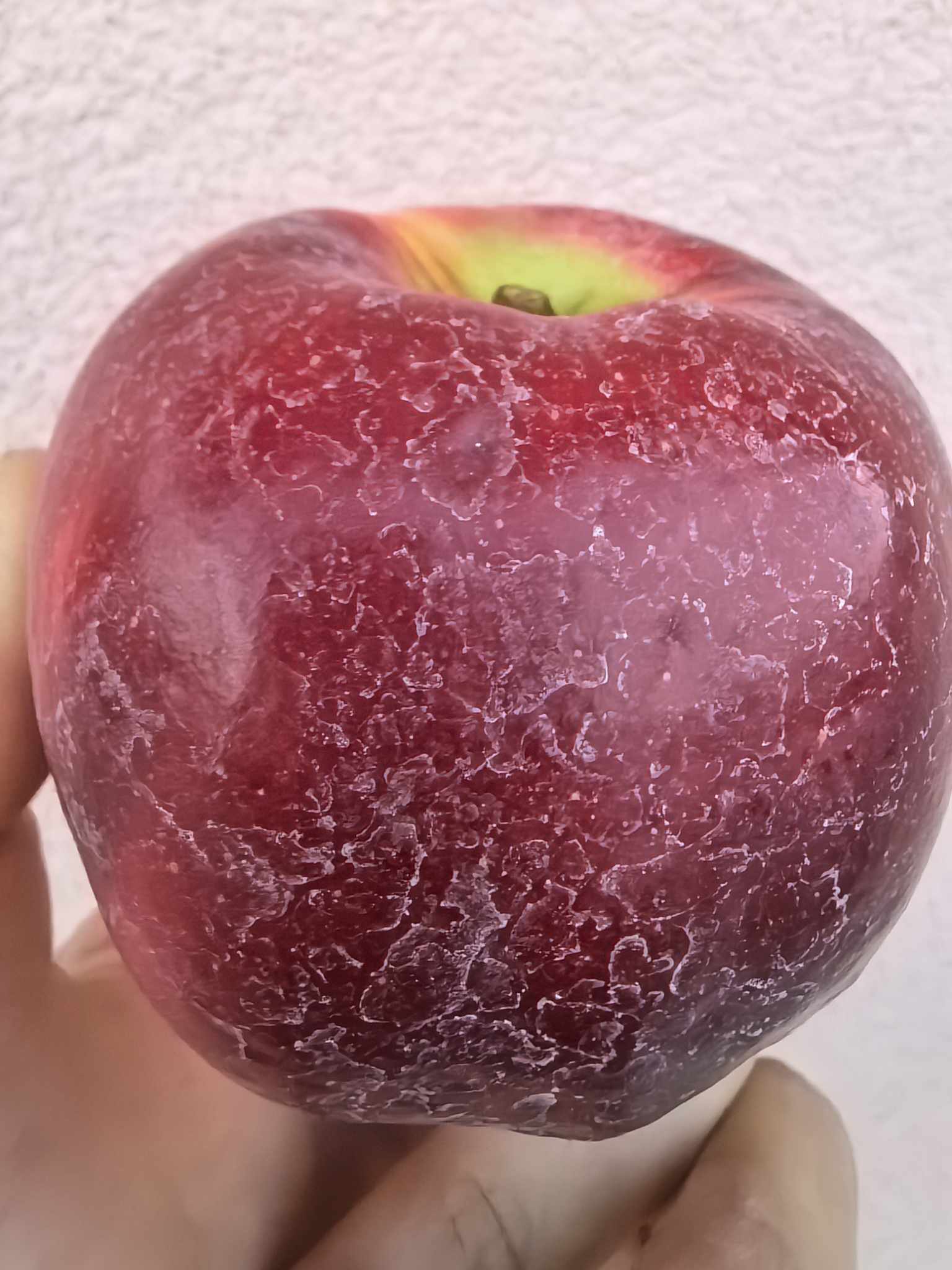 Прима