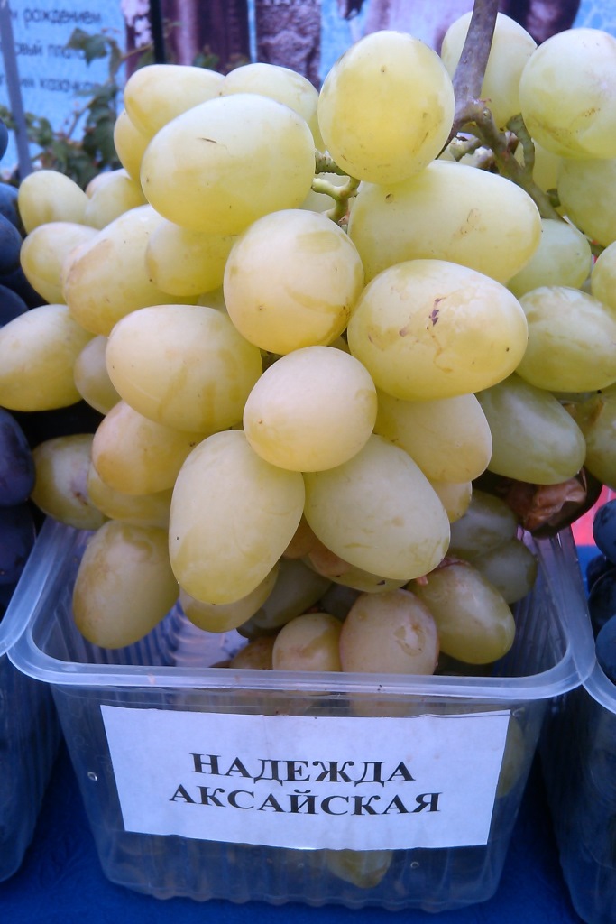 Надежда аксайская