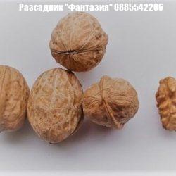 Извор 10