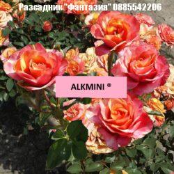 ALKMINI®